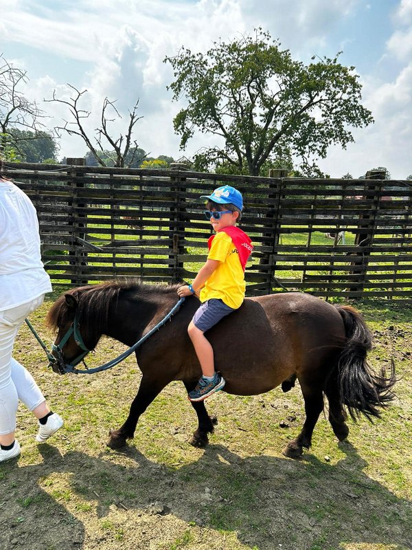 Workshops Ponykamp - boederijkamp - combikamp