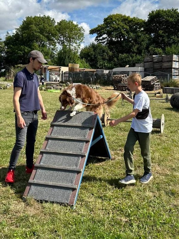 Workshops Ponykamp - boederijkamp - combikamp - hondenkamp