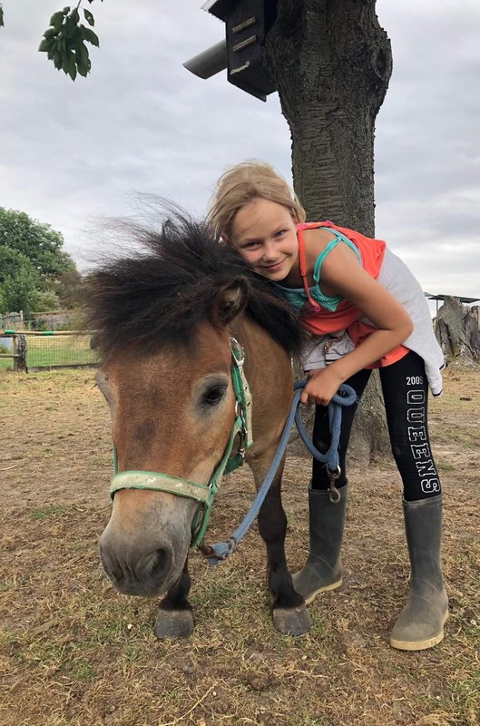 Workshops Ponykamp - boederijkamp - combikamp