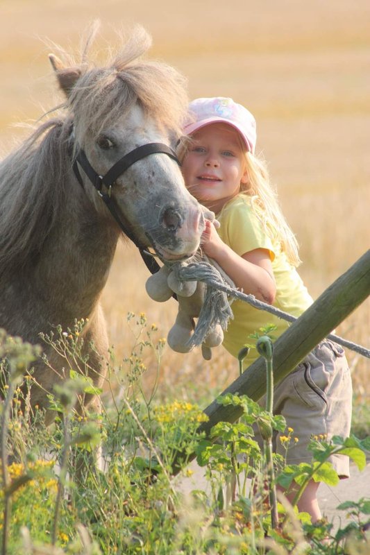 Workshops Ponykamp - boederijkamp - combikamp