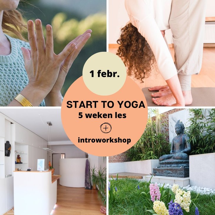 Workshops Start Yoga: 5 weken yoga + gratis introworkshop